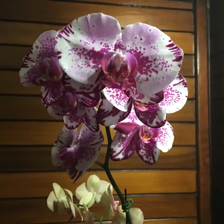 Huggo's, Kailua-Kona, HI