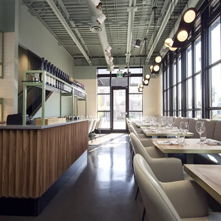 Elbow Room - Permanently Closed，ABCalgary