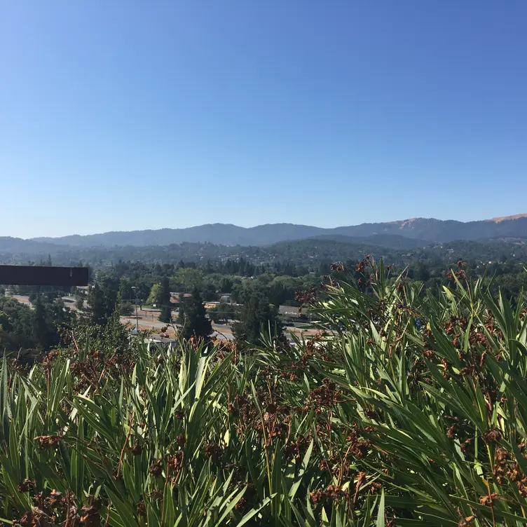 HILLTOP 1892 - Permanently Closed, Novato, CA