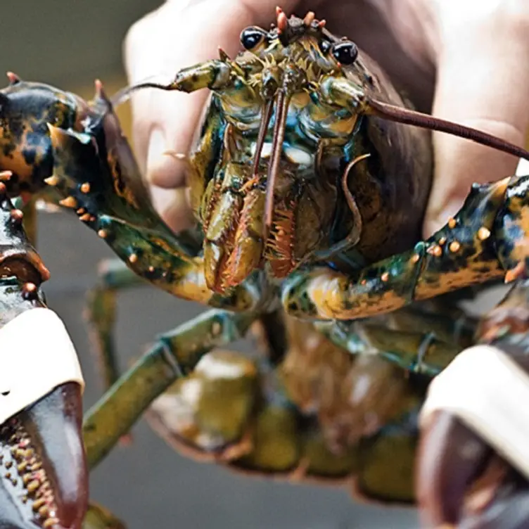 Lobster - Old Port Sea Grill, Portland, ME