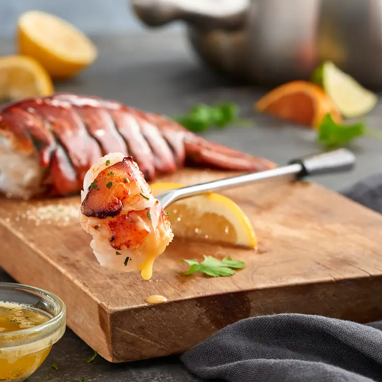Lobster - The Melting Pot - Albany, Albany, NY