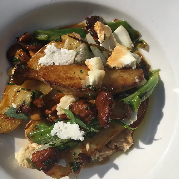 Girolles and sttola - May The Fifteenth, London, 