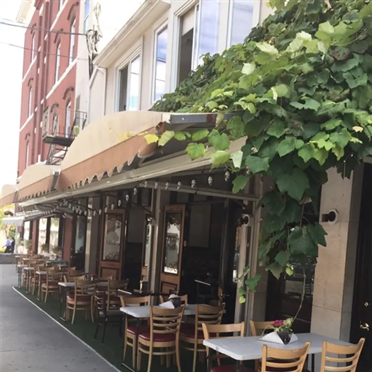 Sagres Bar & Grill, Newark, NJ