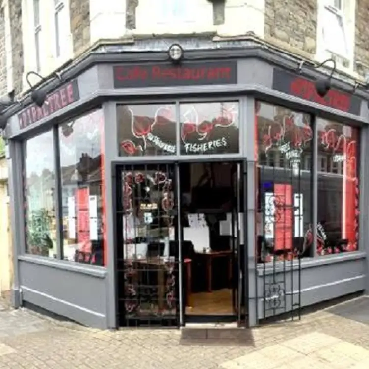 Pipal Tree, Bristol, Bristol