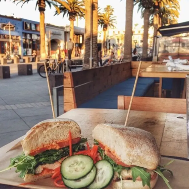 Greenbelt, Hermosa Beach, CA