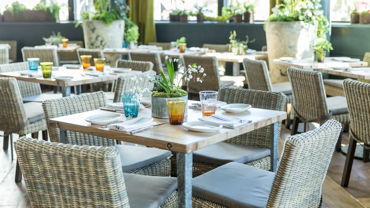 Terrain Cafe – Palo Alto, Palo Alto, CA