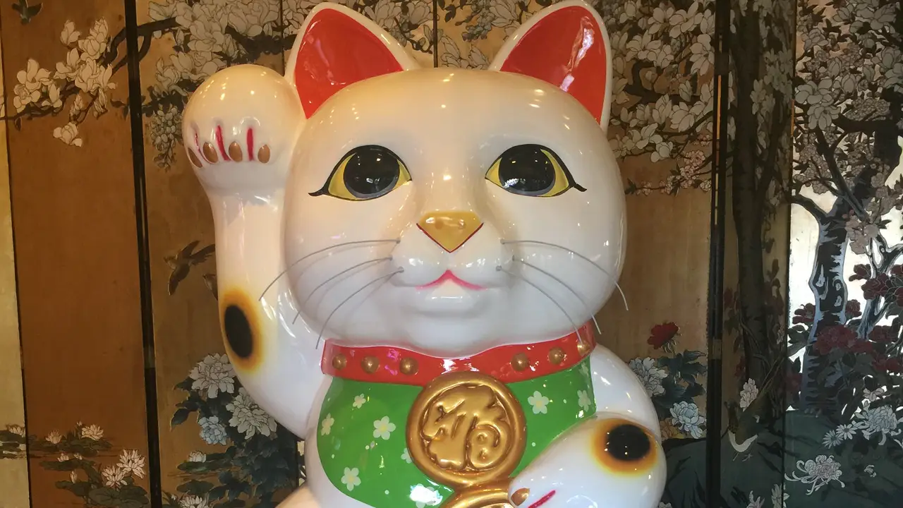 Asian City Restaurant, Humble, TX
