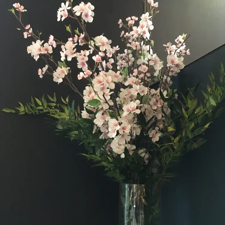 Yauatcha Houston - Permanently Closed, Houston, TX