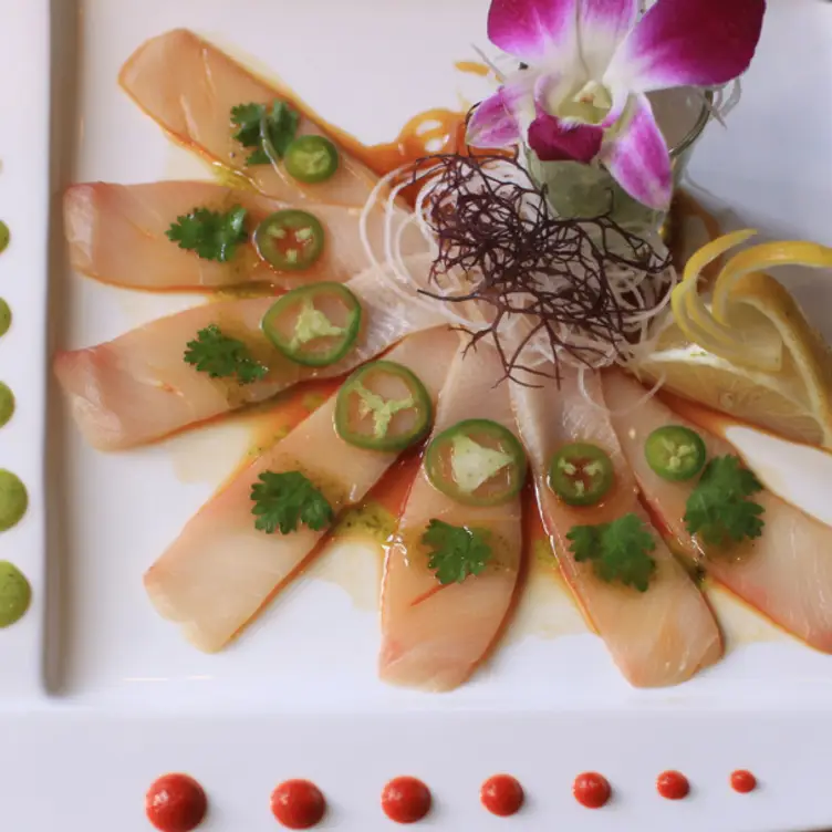 Alpha Fusion - Permanently Closed, New York, NY