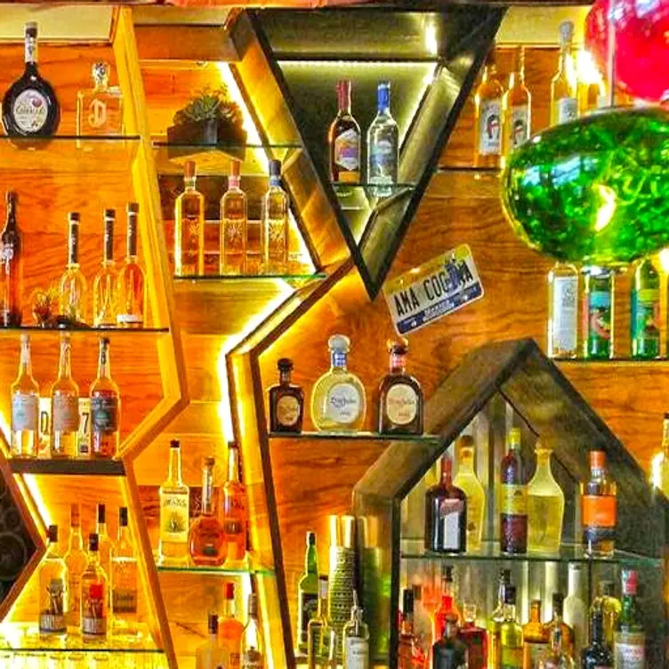 Ama Cocina, Albany, NY