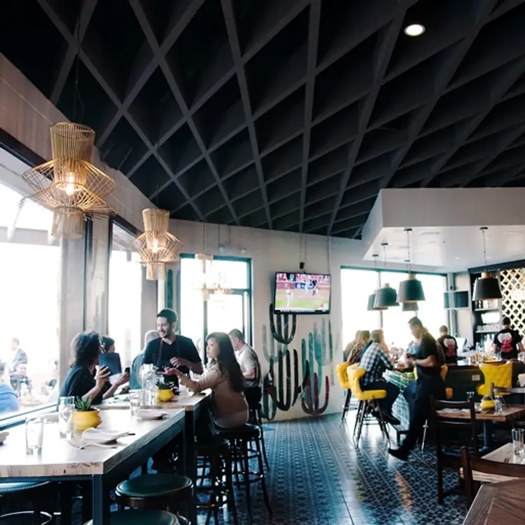 El Bolero, Dallas, TX