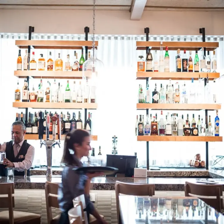 Princi Italia - Plano, Plano, TX