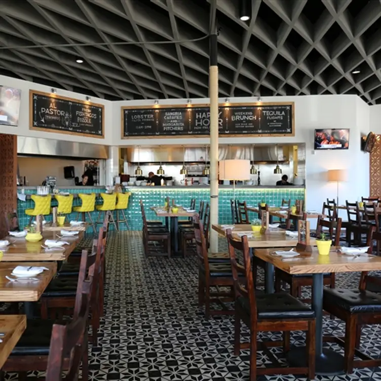 El Bolero, Dallas, TX