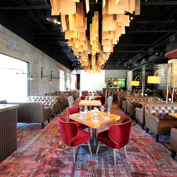 Oak - Dallas, Dallas, TX