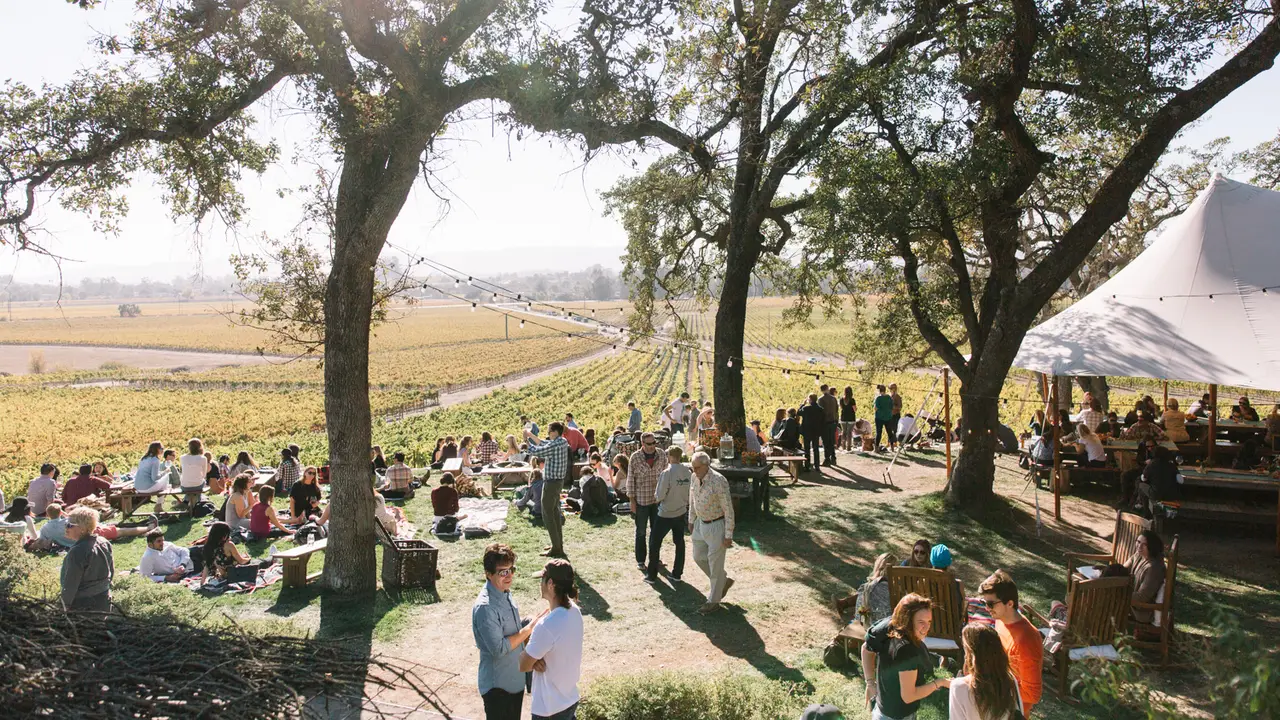 Scribe Knoll CA Sonoma