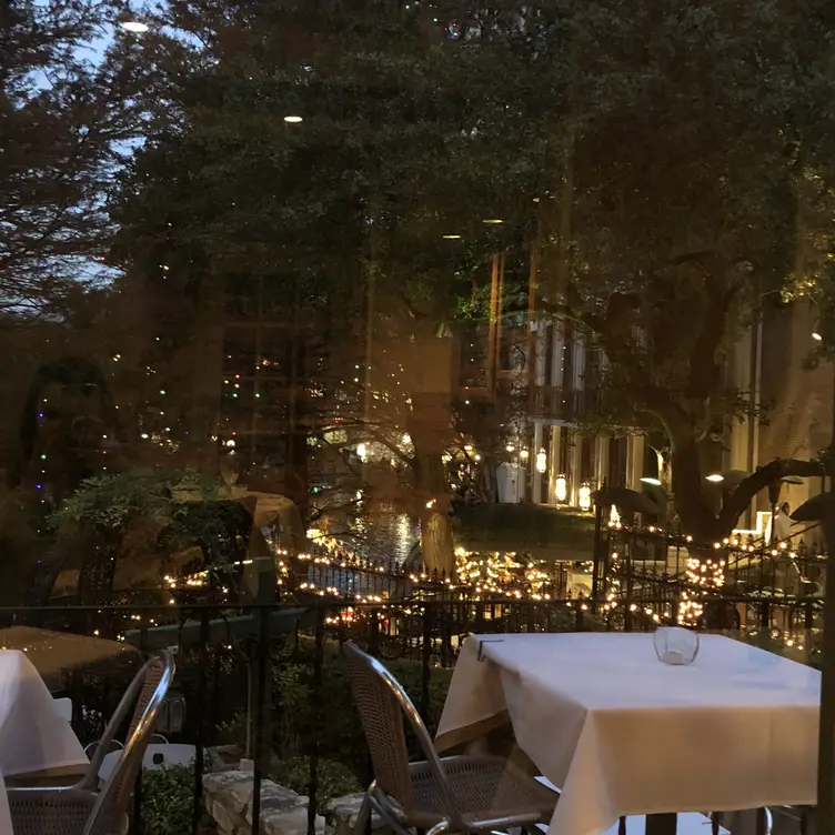 The Fig Tree, San Antonio, TX