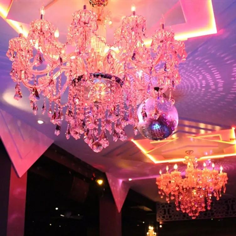Il Bastardo, New York, NY