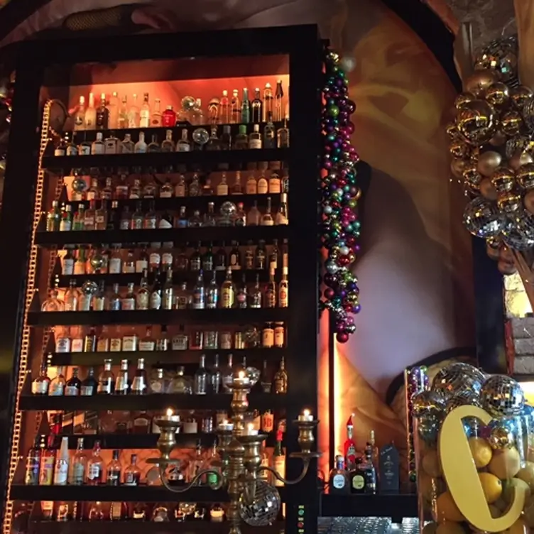 CITRUS, Mainz, RP