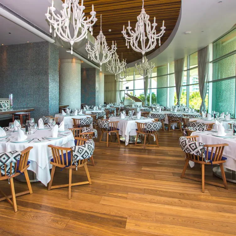 Bistro Bleu at Vidanta Vallarta, Nuevo Vallarta, NAY