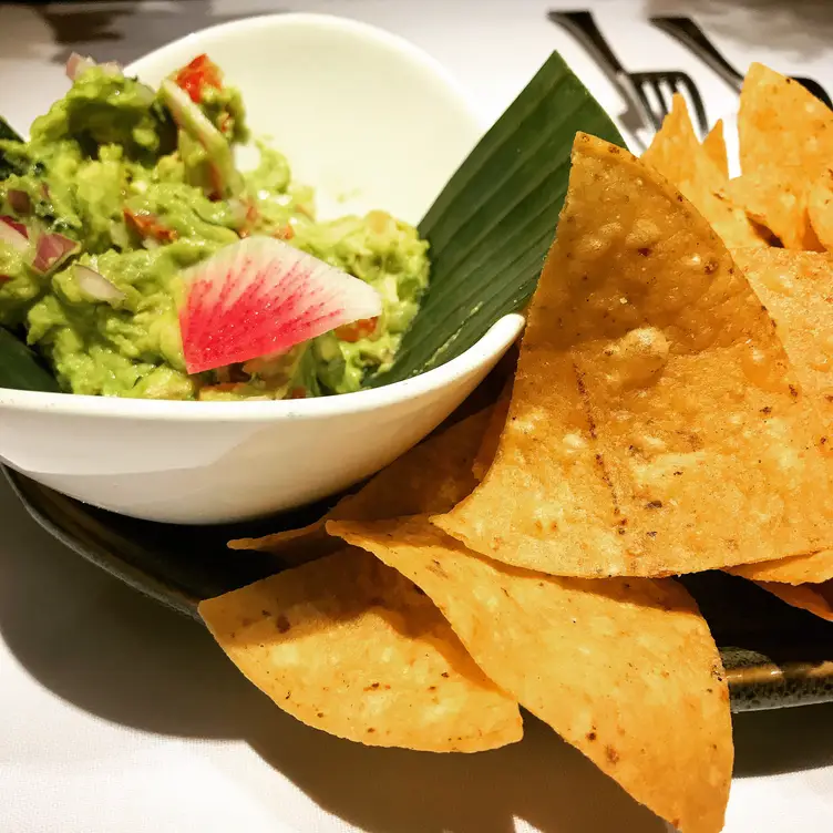 Topolobampo, Chicago, IL