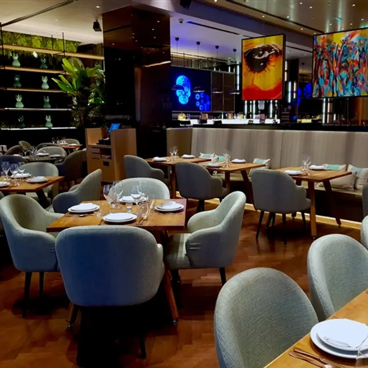 Peyote Restaurant, Dubai, Dubai