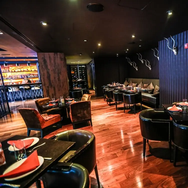 Toro Toro, Washington, DC