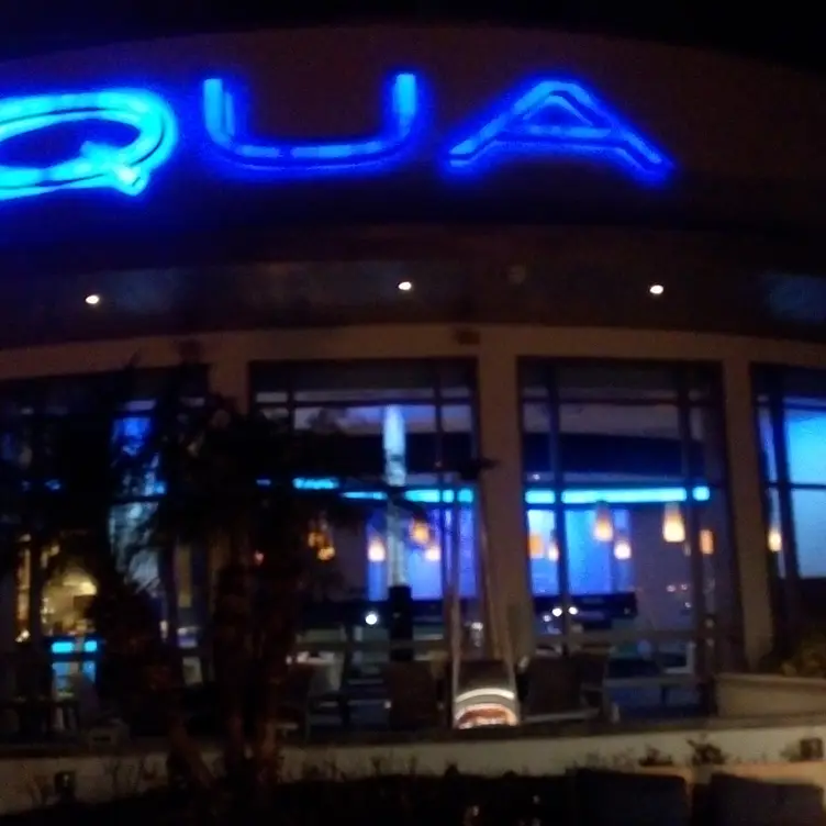 Aqua, Tampa, FL
