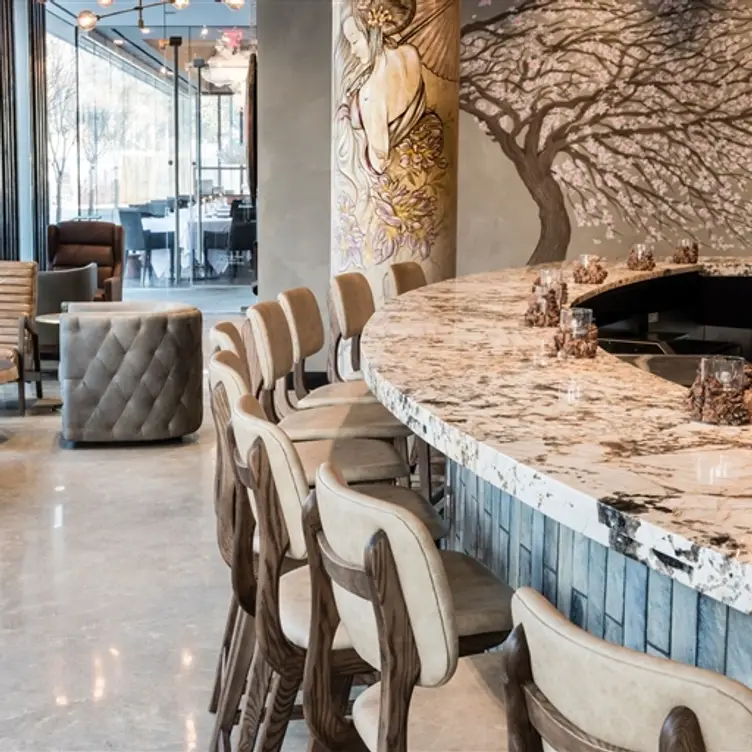 Musume - Dallas, Dallas, TX