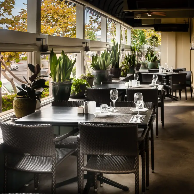 Harbor Grill, Dana Point, CA