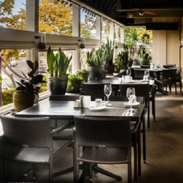 Harbor Grill, Dana Point, CA