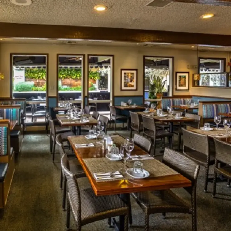 Harbor Grill, Dana Point, CA