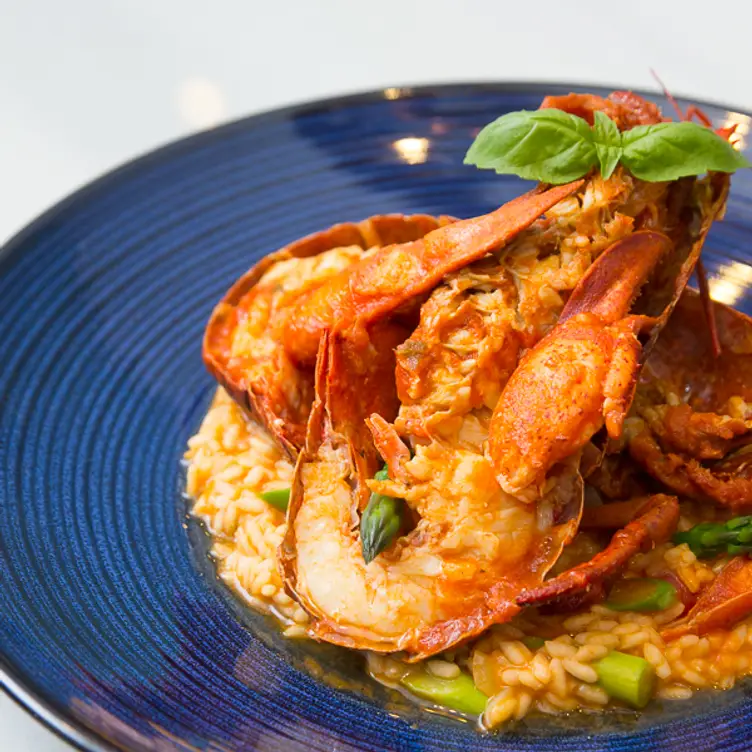 Cibo Wine Bar-Coral Gables, Miami, FL