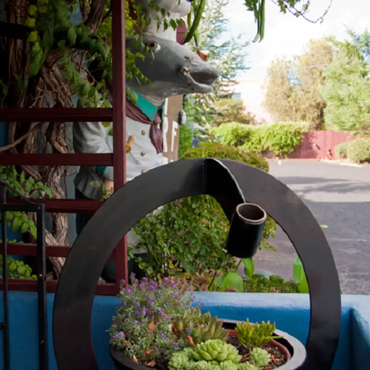 Catfish - The Heartline Cafe, Sedona, AZ