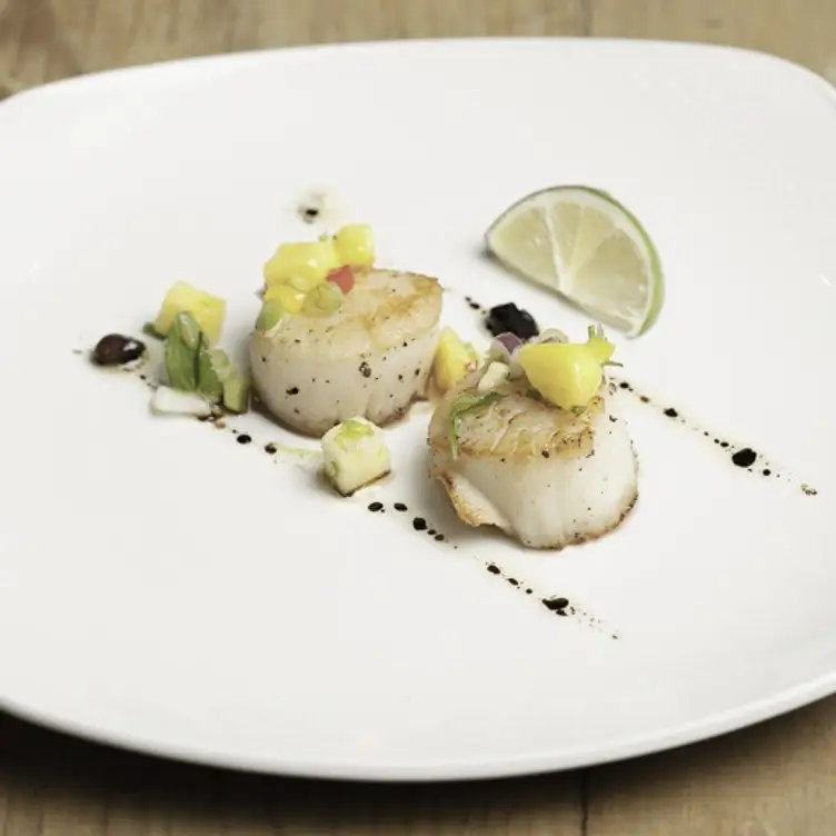 Mango Room, London, 