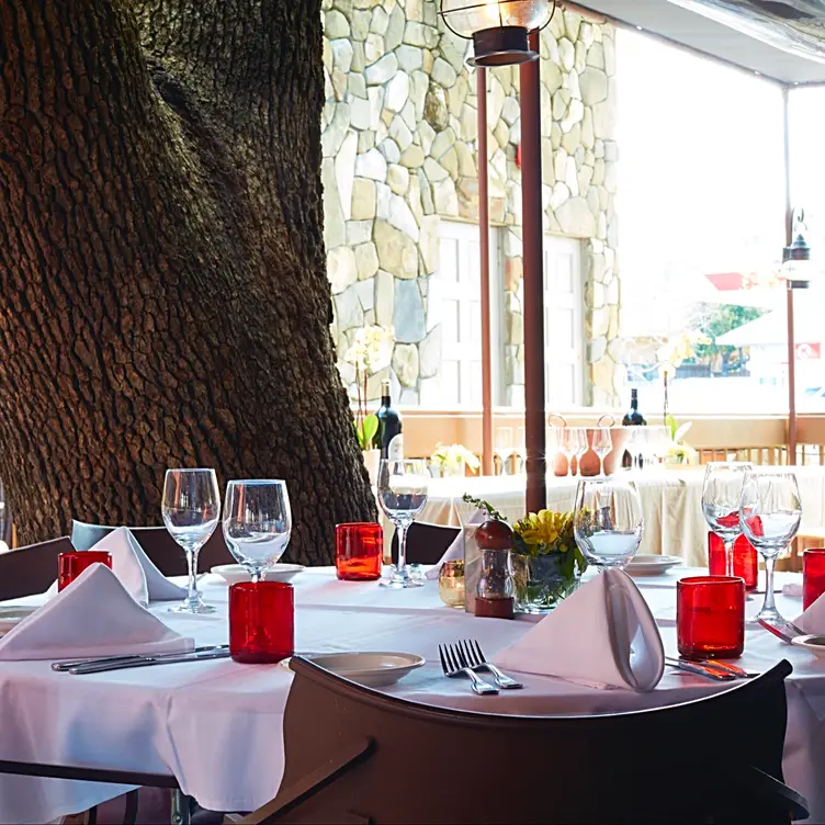 Patio - Boca Tavern - Permanently Closed, Novato, CA