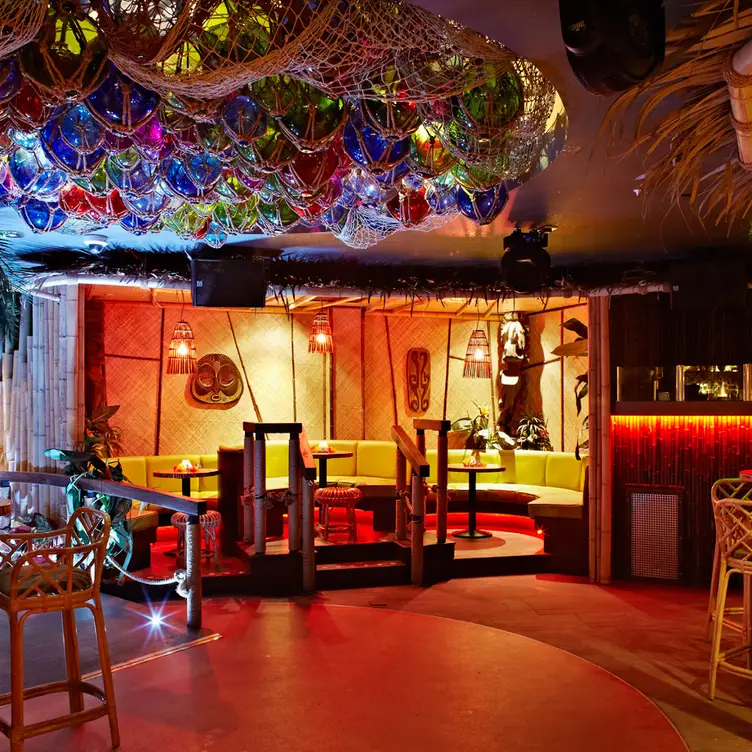 Tiger Newcastle - kanaloa - Tiger Tiger Newcastle, Newcastle upon Tyne, Tyne and Wear
