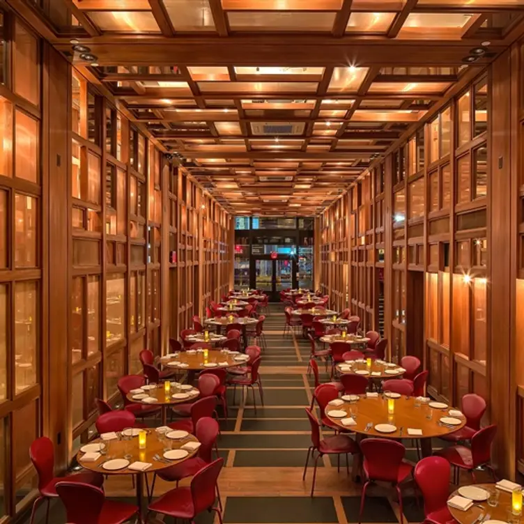 ilili, New York, NY