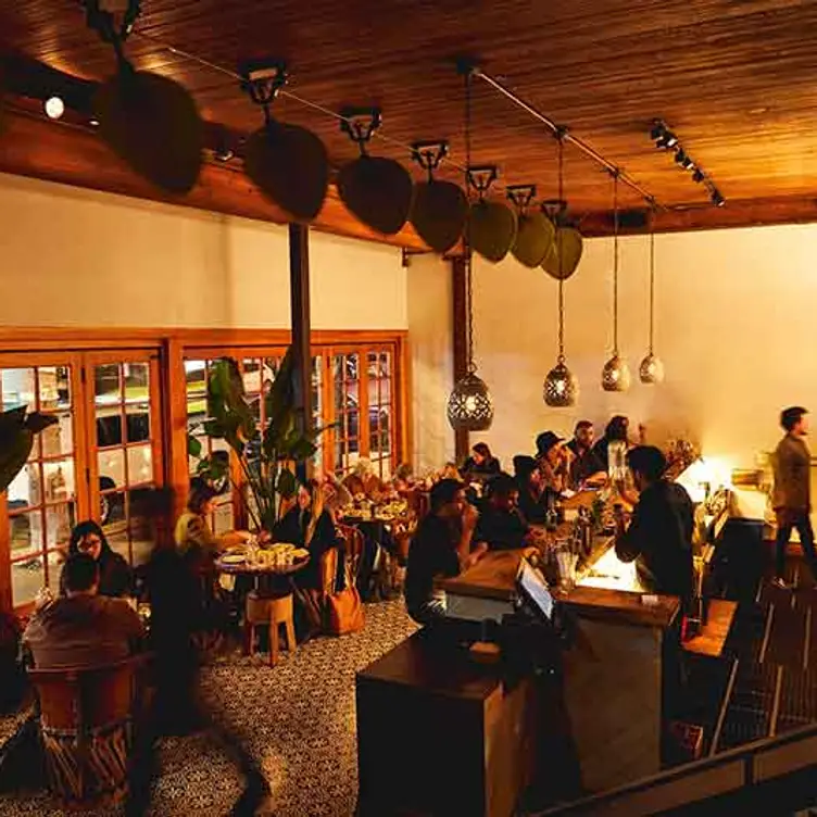Flores Bar is always a scene - Flores - Union Street, San Francisco, CA
