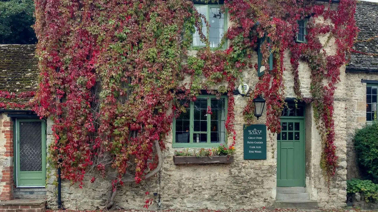 The White Hart of Wytham, Wytham, Oxfordshire