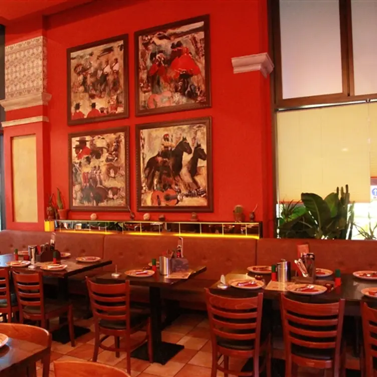 El Rodizio, Dresden, SN