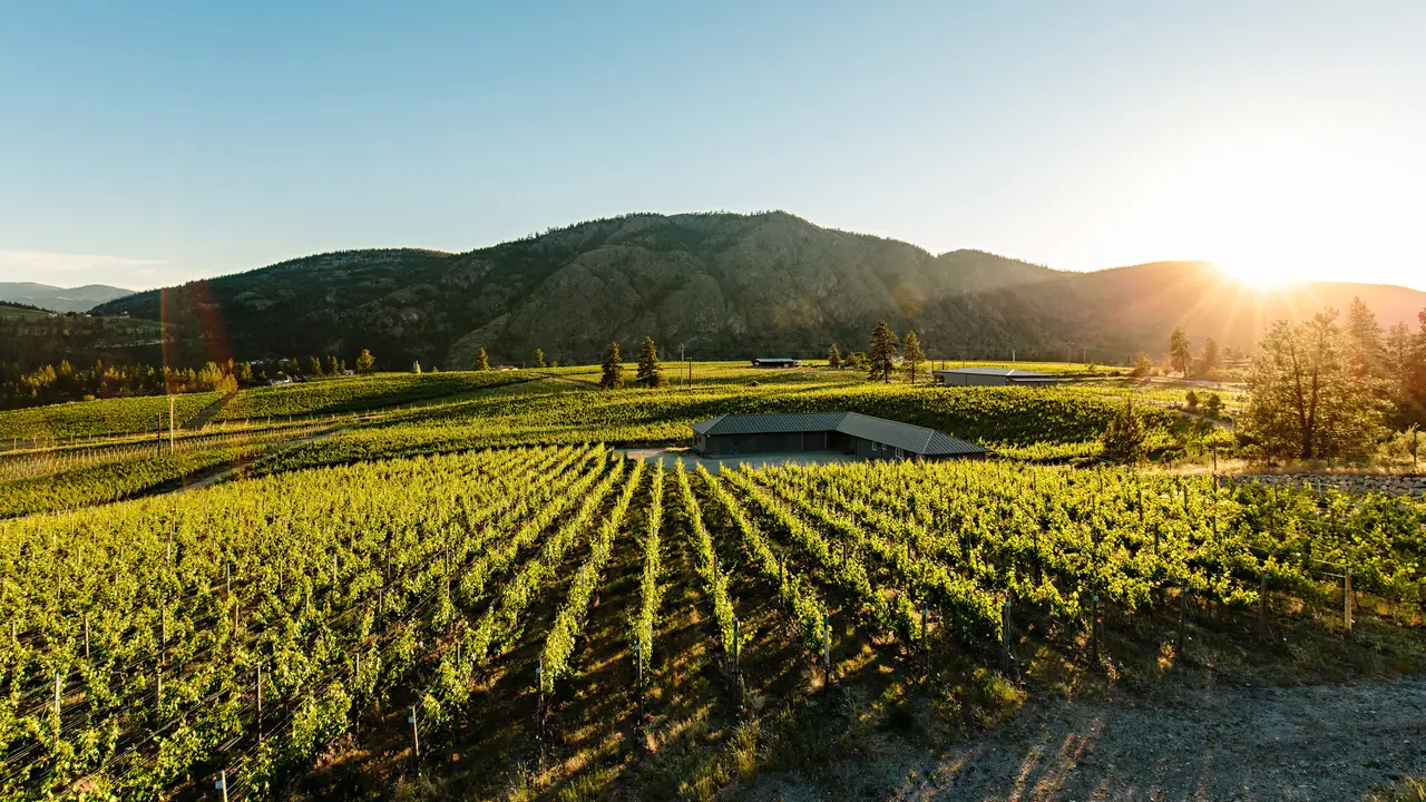 Liquidity Premium Wine Tastings, Okanagan Falls, BC
