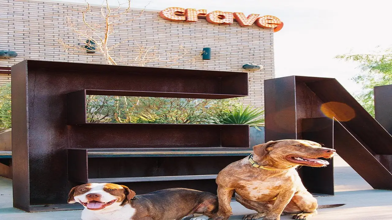 Plaza Theatre Broadway Pop Up Crave Kitchen and Bar, El Paso, TX
