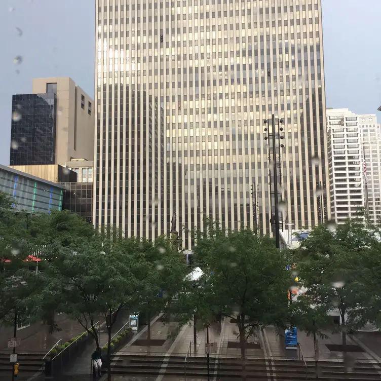 Palomino - Cincinnati, Cincinnati, OH