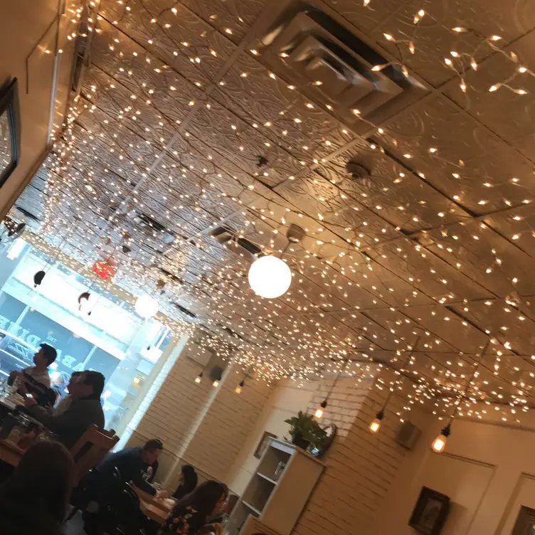 The Gabardine, Toronto, ON