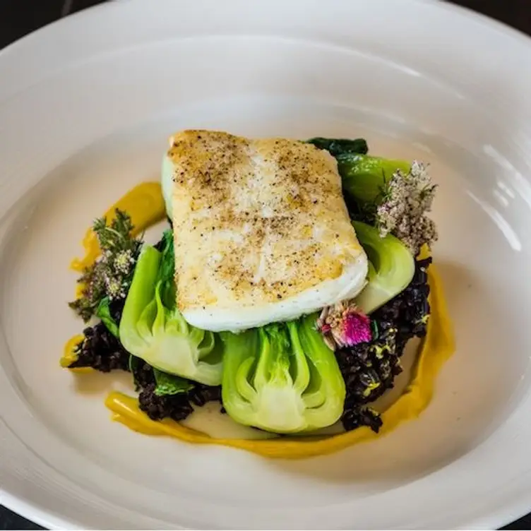 Halibut - Musume - Dallas, Dallas, TX