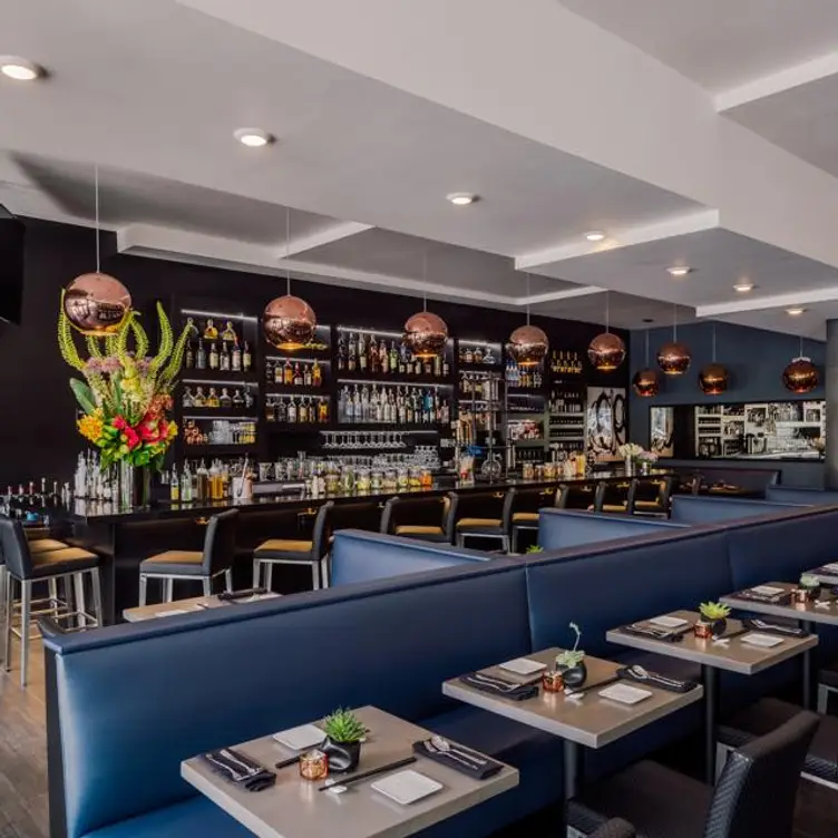 7 Fusion, Sherman Oaks, CA