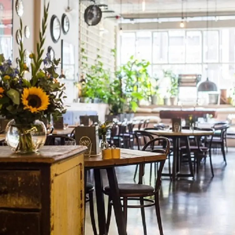 Wringer and Mangle, London, 
