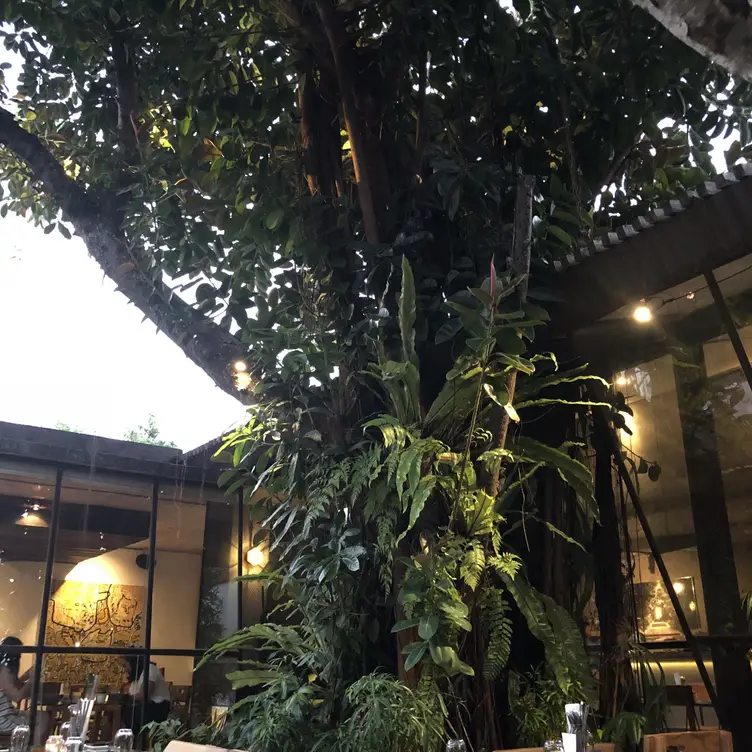 Kilo Bali, Denpasar, Bali