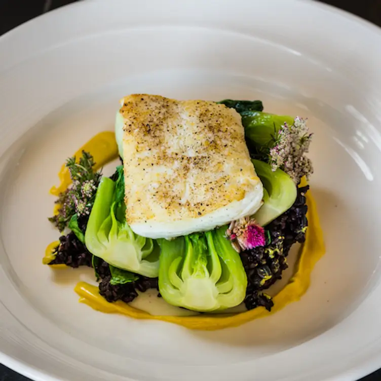 Musume Halibut - Musume - Dallas, Dallas, TX