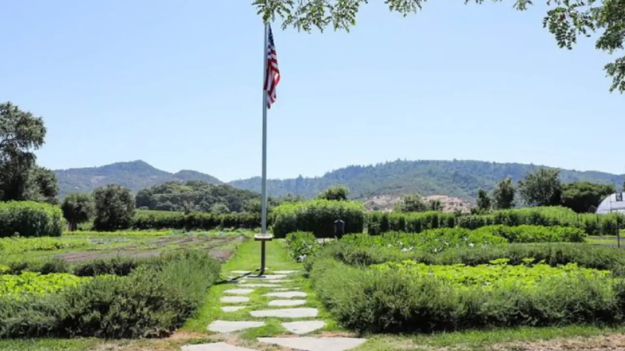 Flavors of Yountville - a Culinary Tour of Yountville, Yountville, CA
